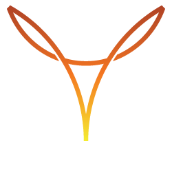 Fouxplore